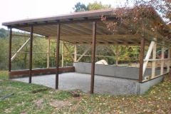 P038
