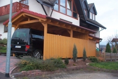 S010